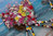 Kukkaispolkupyörä 90 x 60 cm